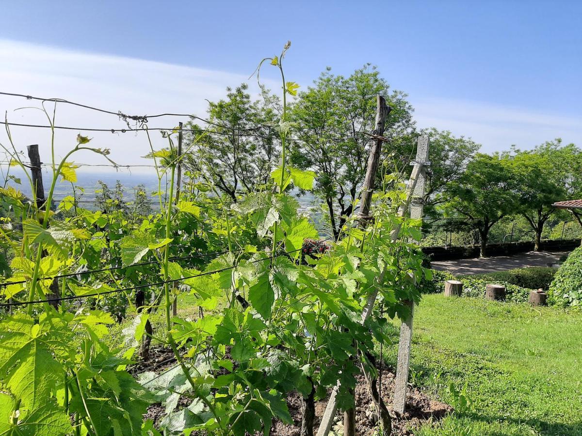 Sotto il MonteAl-Colle住宿加早餐旅馆 外观 照片